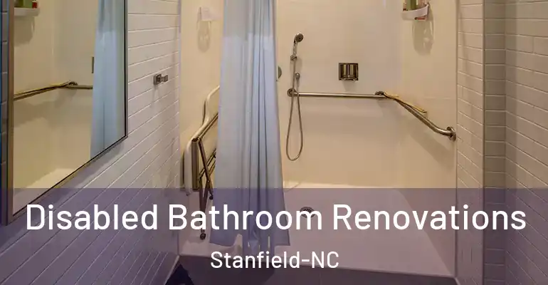 inner Bathroom imggen Disabled Bathroom Renovations Stanfield-NC