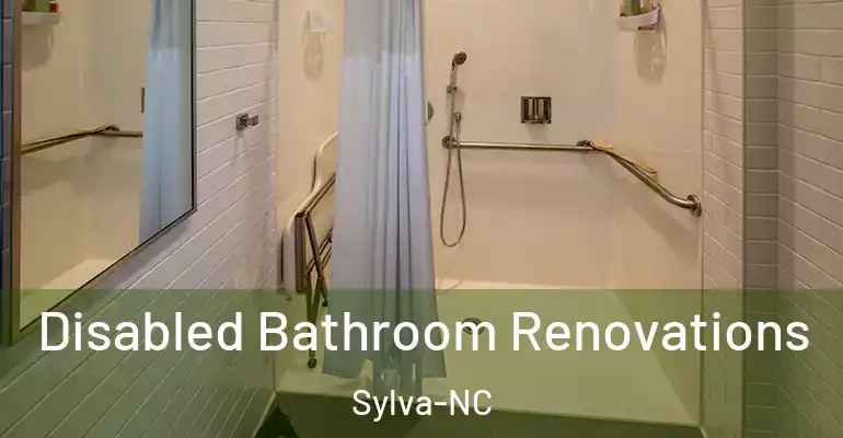 inner Bathroom imggen Disabled Bathroom Renovations Sylva-NC