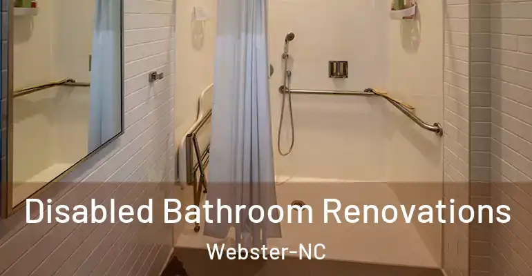inner Bathroom imggen Disabled Bathroom Renovations Webster-NC
