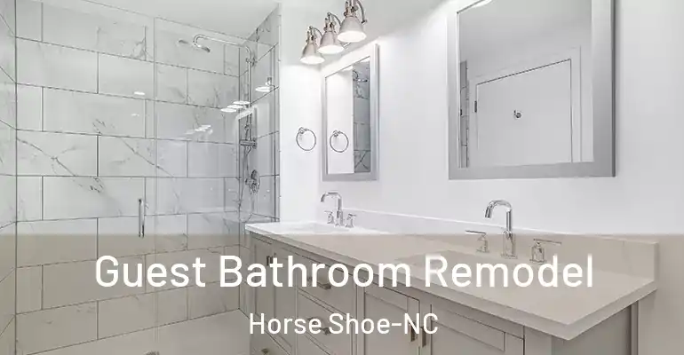 inner Bathroom imggen Guest Bathroom Remodel Horse Shoe-NC