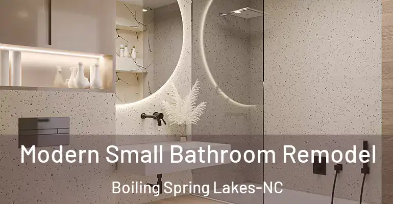inner Bathroom imggen Modern Small Bathroom Remodel Boiling Spring Lakes-NC