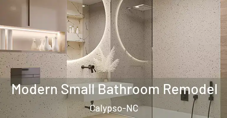 inner Bathroom imggen Modern Small Bathroom Remodel Calypso-NC