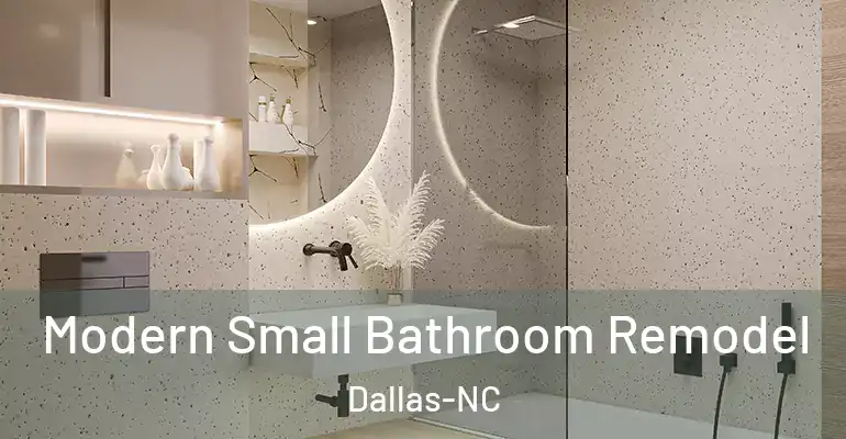 inner Bathroom imggen Modern Small Bathroom Remodel Dallas-NC