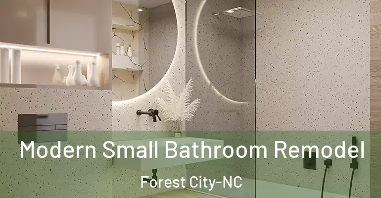 inner Bathroom imggen Modern Small Bathroom Remodel Forest City-NC