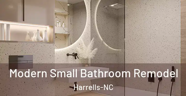 inner Bathroom imggen Modern Small Bathroom Remodel Harrells-NC