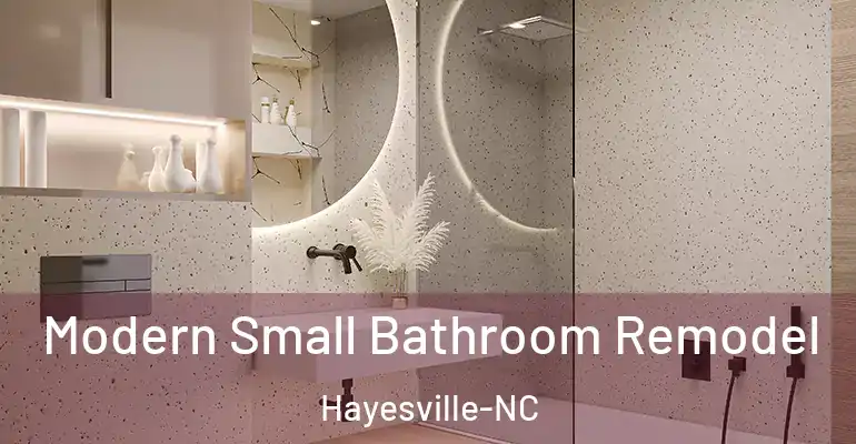 inner Bathroom imggen Modern Small Bathroom Remodel Hayesville-NC