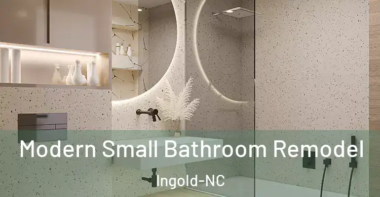 inner Bathroom imggen Modern Small Bathroom Remodel Ingold-NC