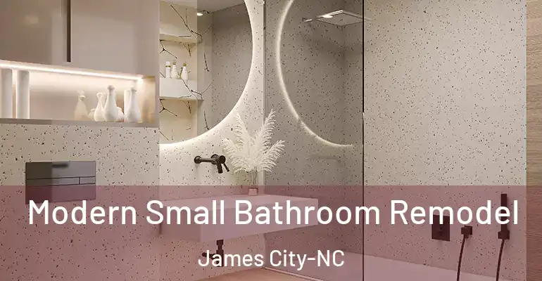 inner Bathroom imggen Modern Small Bathroom Remodel James City-NC