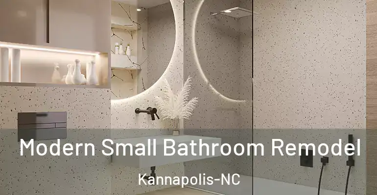 inner Bathroom imggen Modern Small Bathroom Remodel Kannapolis-NC