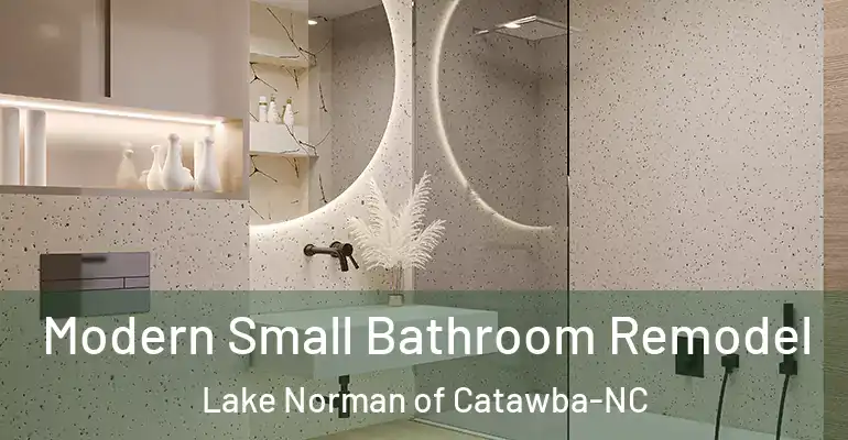 inner Bathroom imggen Modern Small Bathroom Remodel Lake Norman of Catawba-NC