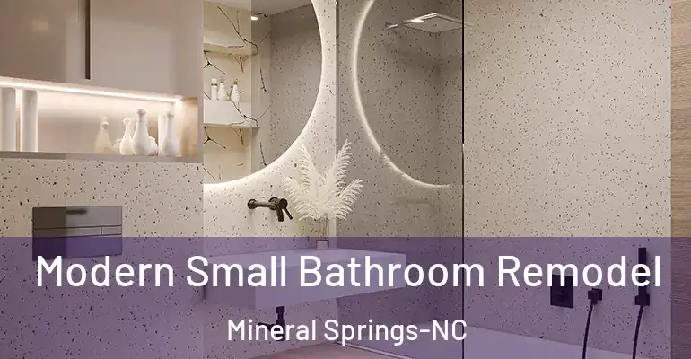 inner Bathroom imggen Modern Small Bathroom Remodel Mineral Springs-NC