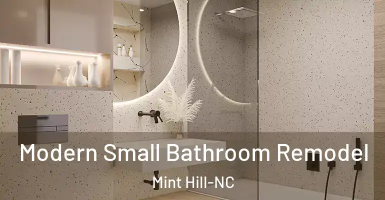 inner Bathroom imggen Modern Small Bathroom Remodel Mint Hill-NC