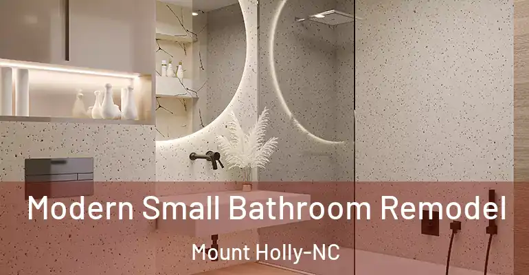 inner Bathroom imggen Modern Small Bathroom Remodel Mount Holly-NC