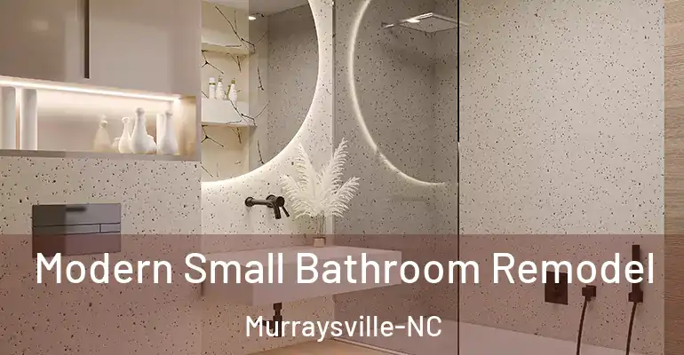 inner Bathroom imggen Modern Small Bathroom Remodel Murraysville-NC