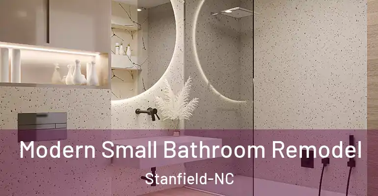 inner Bathroom imggen Modern Small Bathroom Remodel Stanfield-NC