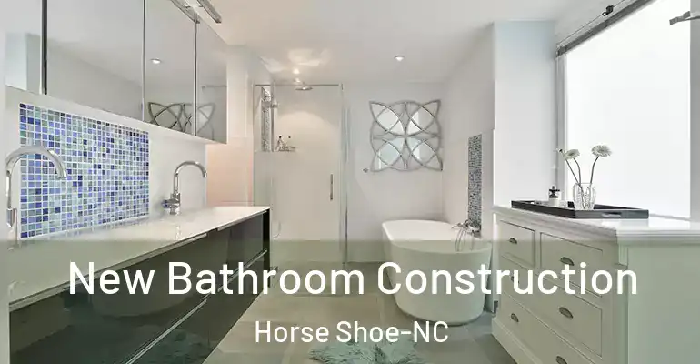 inner Bathroom imggen New Bathroom Construction Horse Shoe-NC
