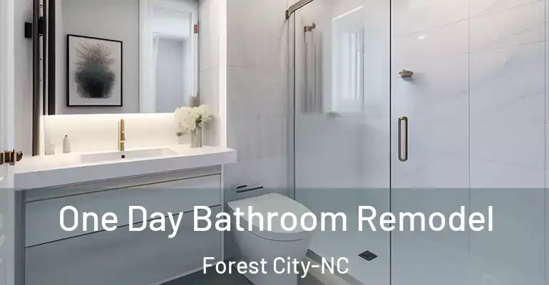 inner Bathroom imggen One Day Bathroom Remodel Forest City-NC