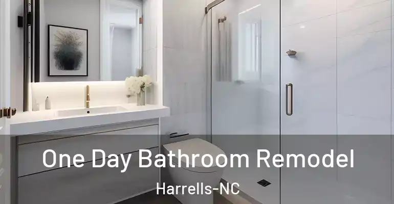 inner Bathroom imggen One Day Bathroom Remodel Harrells-NC
