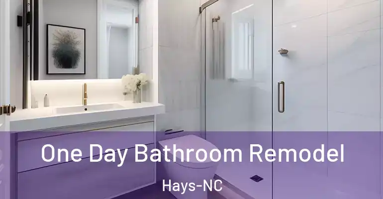inner Bathroom imggen One Day Bathroom Remodel Hays-NC