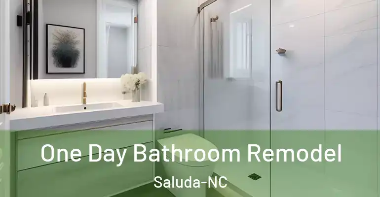 inner Bathroom imggen One Day Bathroom Remodel Saluda-NC