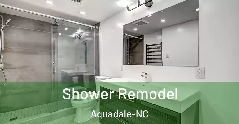inner Bathroom imggen Shower Remodel Aquadale-NC