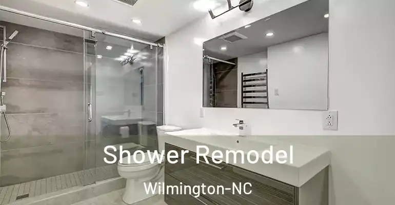 inner Bathroom imggen Shower Remodel Wilmington-NC