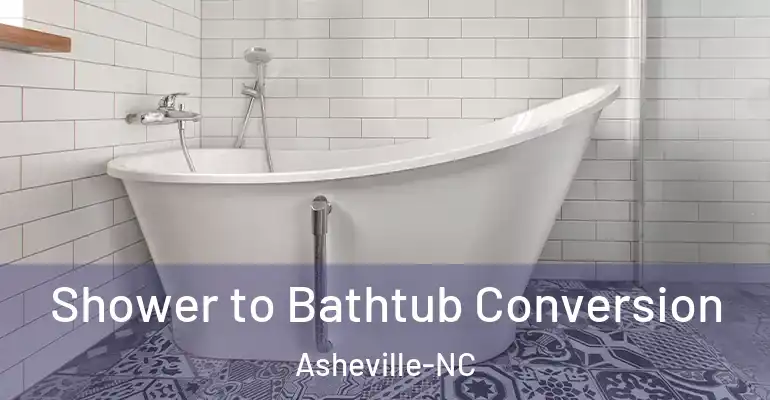 inner Bathroom imggen Shower to Bathtub Conversion Asheville-NC