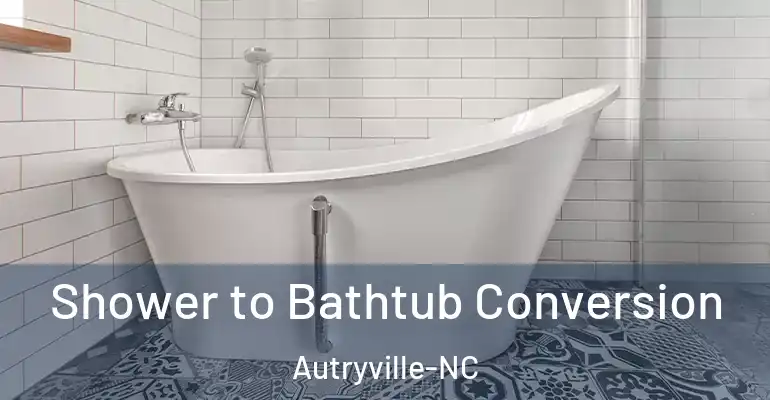 inner Bathroom imggen Shower to Bathtub Conversion Autryville-NC