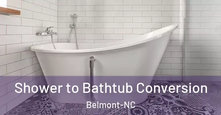 inner Bathroom imggen Shower to Bathtub Conversion Belmont-NC