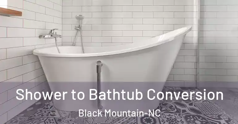 inner Bathroom imggen Shower to Bathtub Conversion Black Mountain-NC