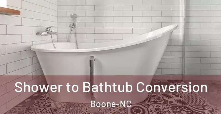 inner Bathroom imggen Shower to Bathtub Conversion Boone-NC