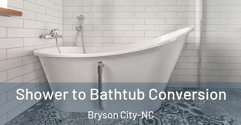 inner Bathroom imggen Shower to Bathtub Conversion Bryson City-NC