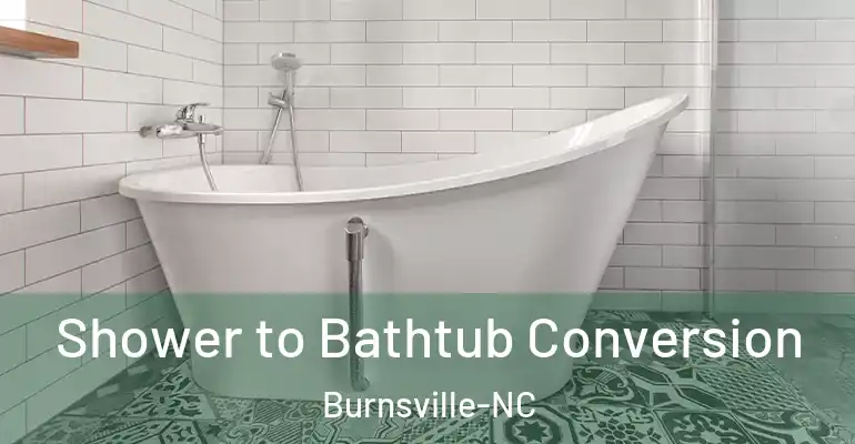 inner Bathroom imggen Shower to Bathtub Conversion Burnsville-NC