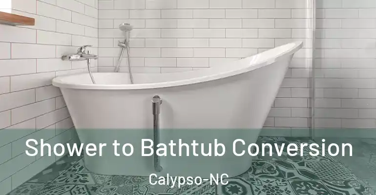 inner Bathroom imggen Shower to Bathtub Conversion Calypso-NC