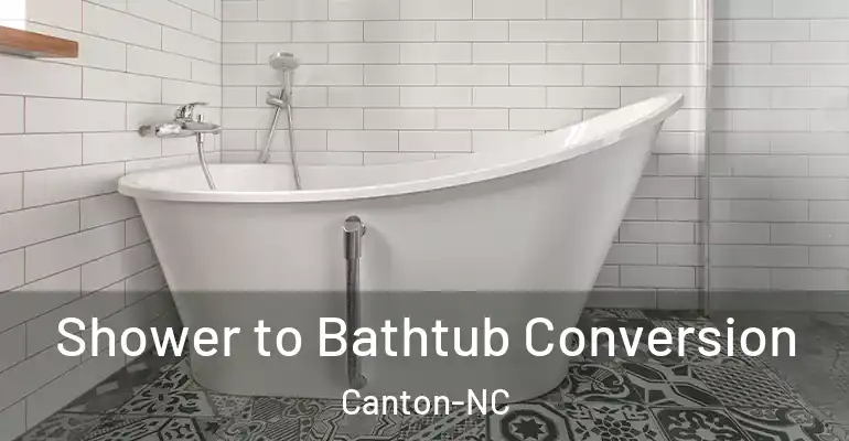 inner Bathroom imggen Shower to Bathtub Conversion Canton-NC