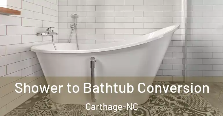 inner Bathroom imggen Shower to Bathtub Conversion Carthage-NC