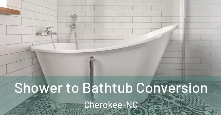 inner Bathroom imggen Shower to Bathtub Conversion Cherokee-NC