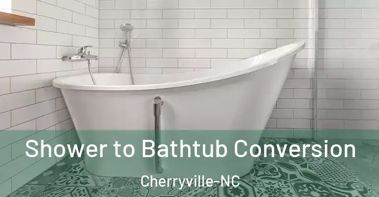 inner Bathroom imggen Shower to Bathtub Conversion Cherryville-NC