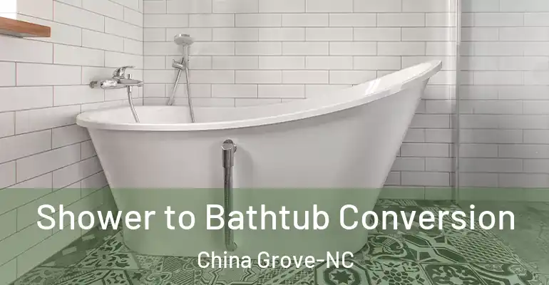 inner Bathroom imggen Shower to Bathtub Conversion China Grove-NC