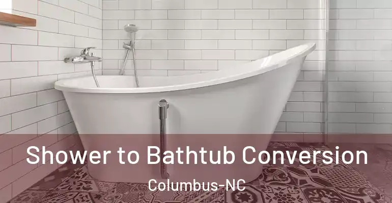inner Bathroom imggen Shower to Bathtub Conversion Columbus-NC