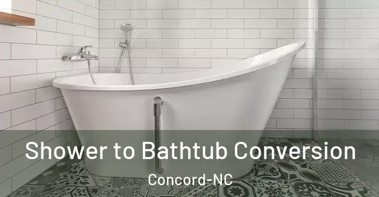 inner Bathroom imggen Shower to Bathtub Conversion Concord-NC