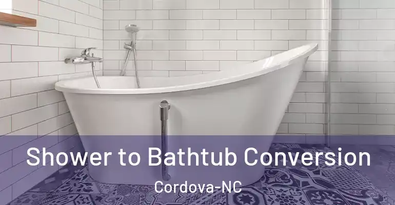 inner Bathroom imggen Shower to Bathtub Conversion Cordova-NC