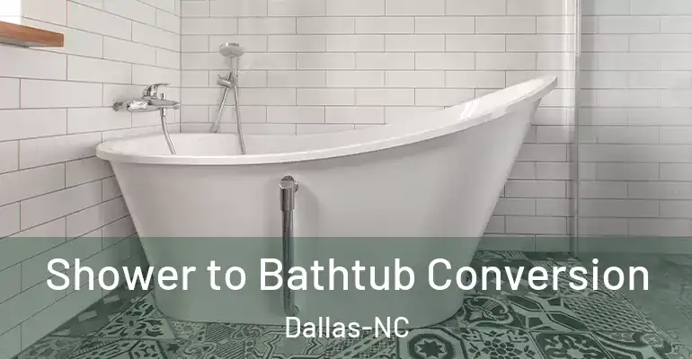 inner Bathroom imggen Shower to Bathtub Conversion Dallas-NC