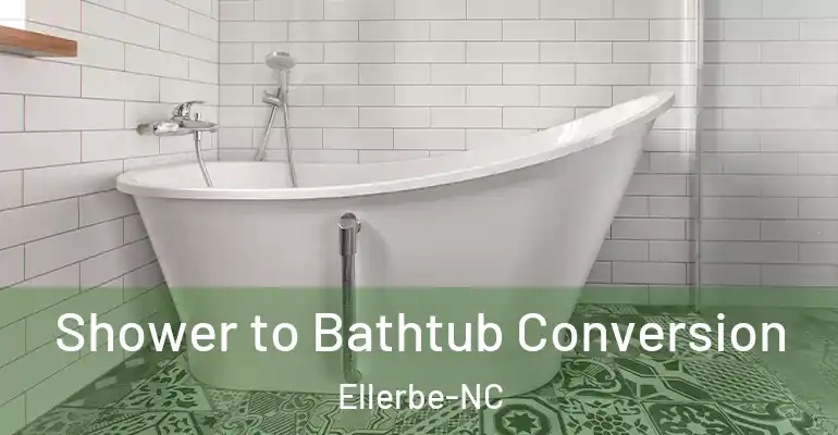 inner Bathroom imggen Shower to Bathtub Conversion Ellerbe-NC