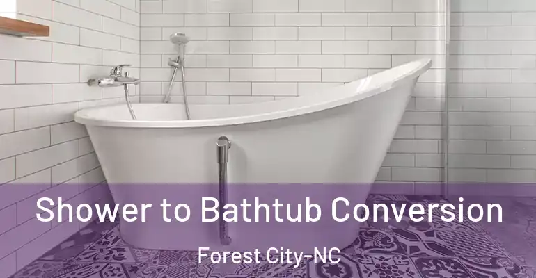 inner Bathroom imggen Shower to Bathtub Conversion Forest City-NC