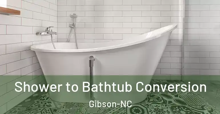 inner Bathroom imggen Shower to Bathtub Conversion Gibson-NC