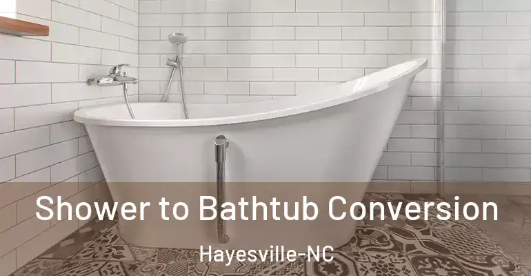 inner Bathroom imggen Shower to Bathtub Conversion Hayesville-NC