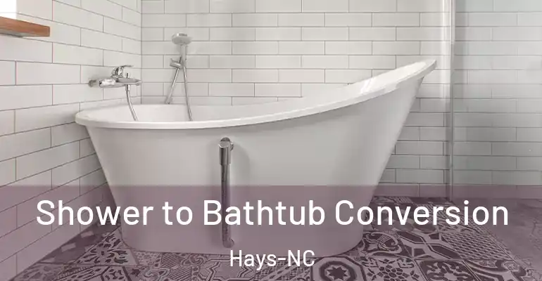 inner Bathroom imggen Shower to Bathtub Conversion Hays-NC