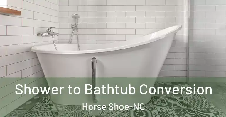 inner Bathroom imggen Shower to Bathtub Conversion Horse Shoe-NC