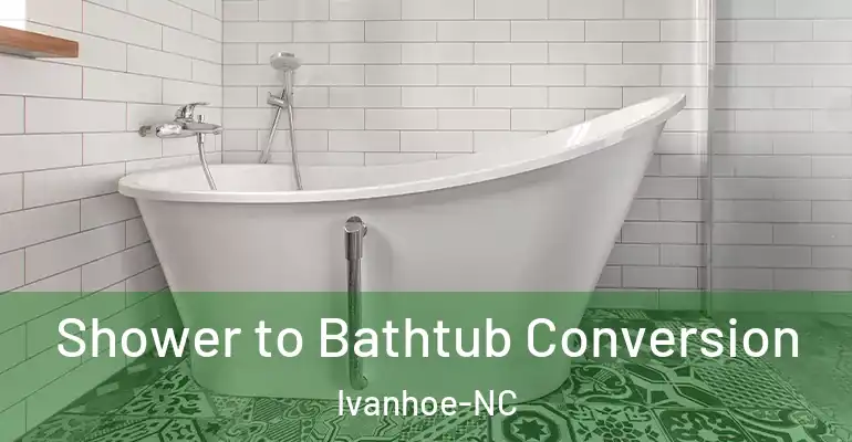 inner Bathroom imggen Shower to Bathtub Conversion Ivanhoe-NC